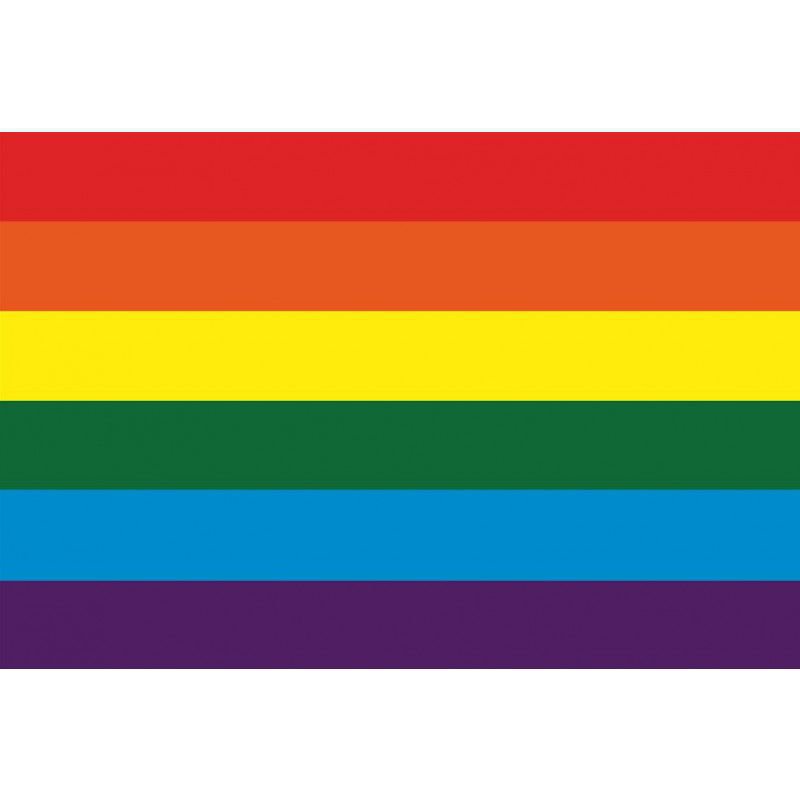 Regenboogvlag.jpg